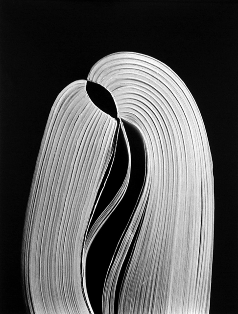 Kenneth Josephson, ‘Chicago (88-4-227)’, 1988, Photography, Silver gelatin photograph, Yancey Richardson Gallery