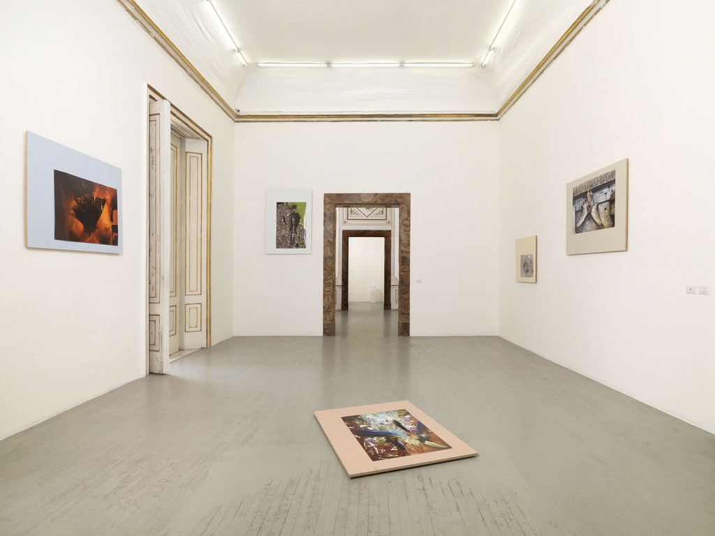 Maria Thereza Aves - Time, Trade and Surplus Value - Partial view of the exhibition - July 2018 Maria Thereza Aves - Time, Trade and Surplus Value - Partial view of the exhibition - July 2018