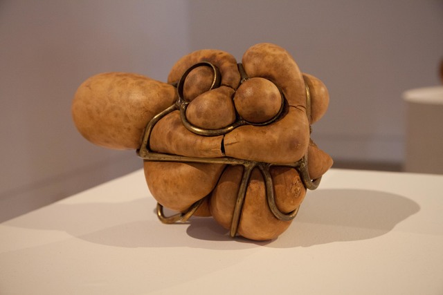 Rob Rhee, ‘Occupations of Uninhabited Space, PFFT’, 2016, Sculpture, Gourd, brass-plated steel, Fort Worth Contemporary Arts