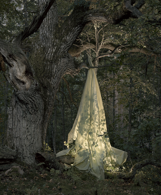 Riitta Päiväläinen, ‘Shade’, 2019, Taik Persons