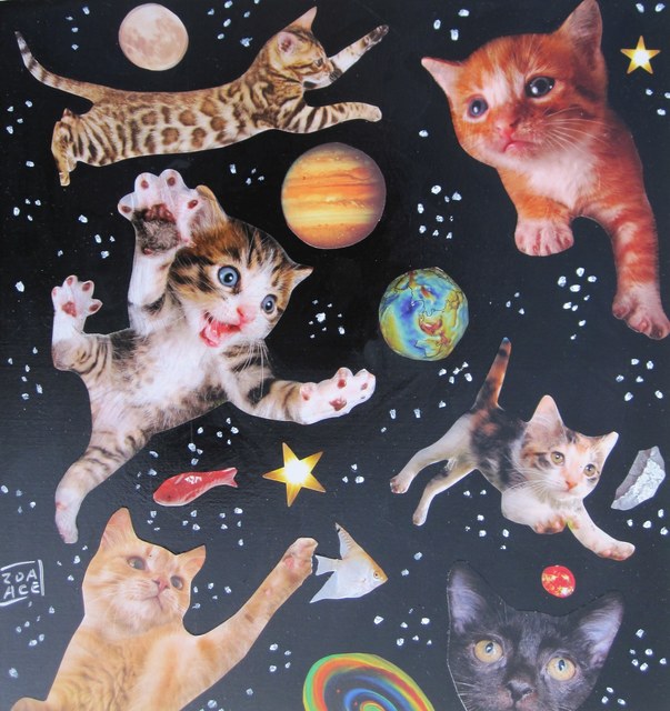 space cats