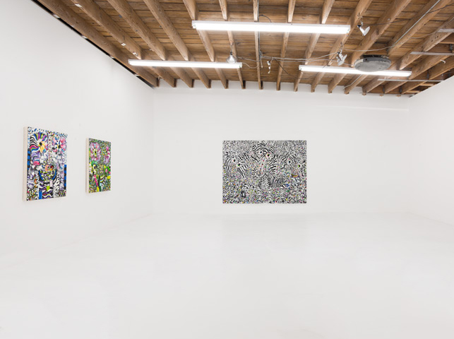 Sally Bruno, 'Surf Skate Snow', 2016, installation view. Photo: Ruben Diaz Sally Bruno, 'Surf Skate Snow', 2016, installation view. Photo: Ruben Diaz