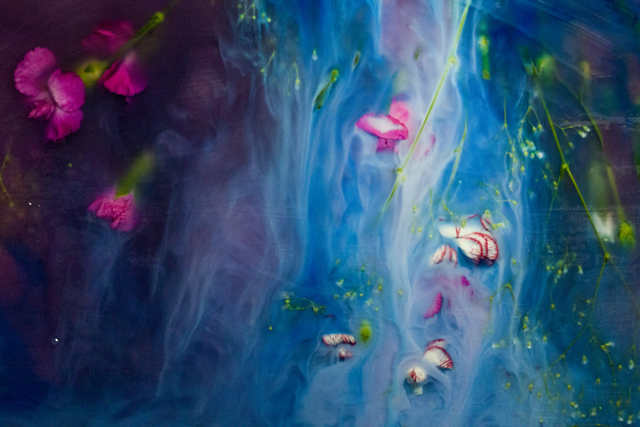 Ashley G. Garner, ‘Blue Experiment’, 2016-2017 Edition, Photography, Aluminum, Wallplay