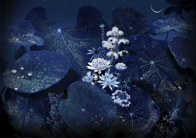 Ruud Van Empel, ‘Floresta Negra #2’, 2018, Huxley-Parlour