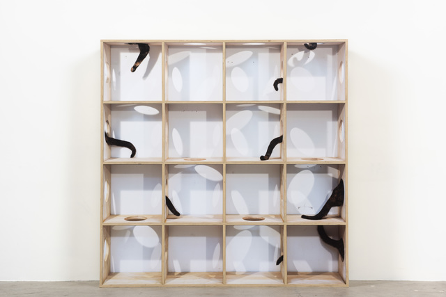 Anthony Lepore, ‘Disappearing Act’, 2019, Moskowitz Bayse
