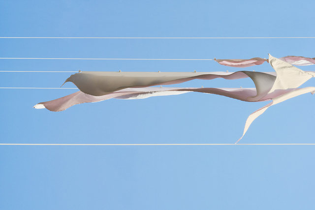 Sally Gall, ‘Zephyr’, 2015, Photography, Archival pigment print, Jackson Fine Art