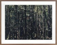 ”Caño Tonino-1”
