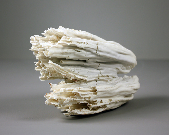 Jessica Drenk, ‘Porcelain Skins: Mop’, 2017, Adah Rose Gallery