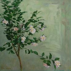 Szeto Lap 司徒立