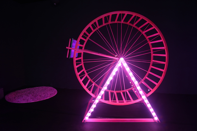 pink hamster wheel