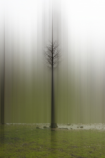 Ellen Jantzen, ‘Promise of Summer’, 2013, Bruno David Gallery