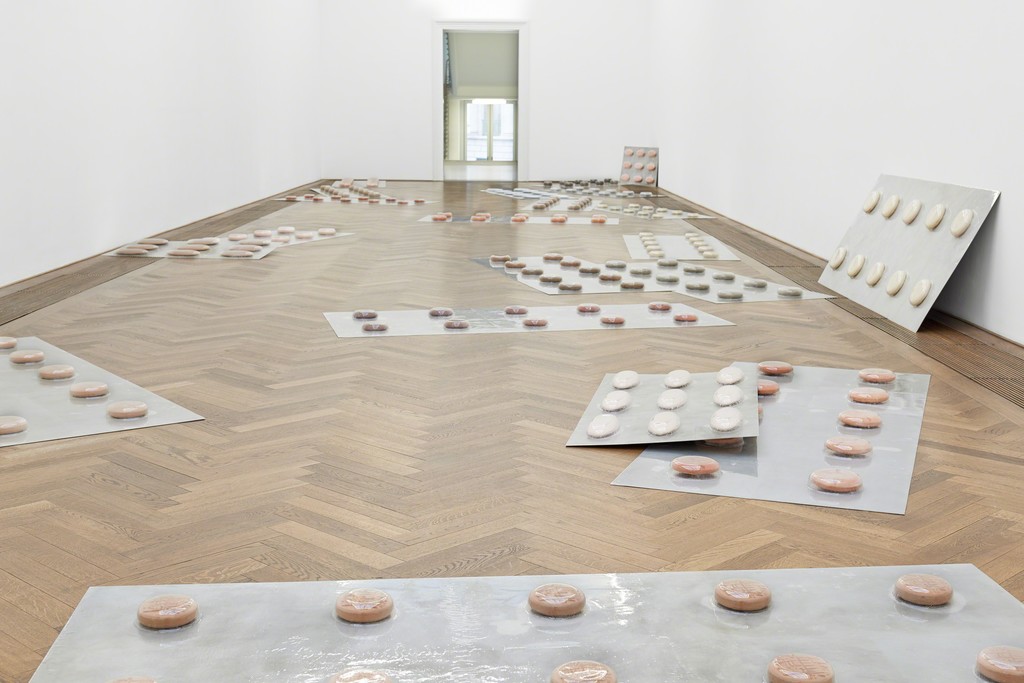 Marina Pinsky, Installation view Dyed Channel, view on Landscape (Pharmakon I–XXIV), 2014–15, Kunsthalle Basel, 2016. Photo: Philipp Hänger Marina Pinsky, Installation view Dyed Channel, view on Landscape (Pharmakon I–XXIV), 2014–15, Kunsthalle Basel, 2016. Photo: Philipp Hänger