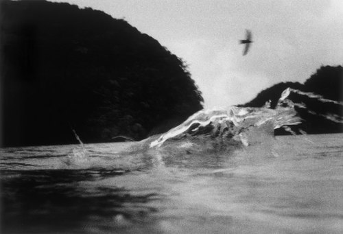James Fee, ‘Fly By, Palau’, 2006, Photography, Toned gelatin silver print, Seraphin Gallery