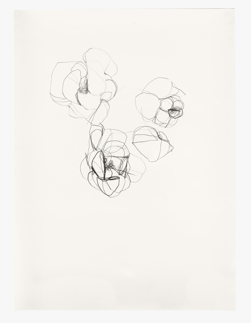 Andrea Rosenberg, ‘Untitled 30.18’, 2018, Painting, Graphite on paper, Barry Whistler Gallery