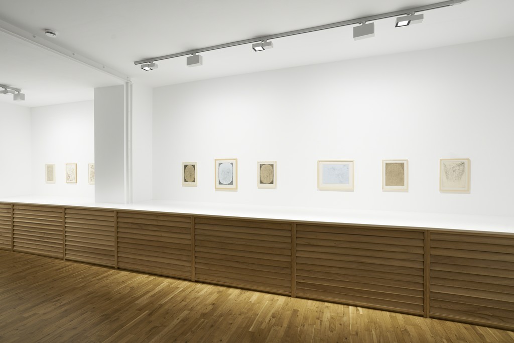 Georg Fuchssteiner – Nebelleben, exhibition view, Jahn und Jahn, 2018 Georg Fuchssteiner – Nebelleben, exhibition view, Jahn und Jahn, 2018