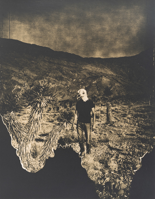 Lara Porzak, ‘The Eagle has Landed’, 2013, Photography, Gelatin silver lith print from Polaroid negative, The Spaceless Gallery