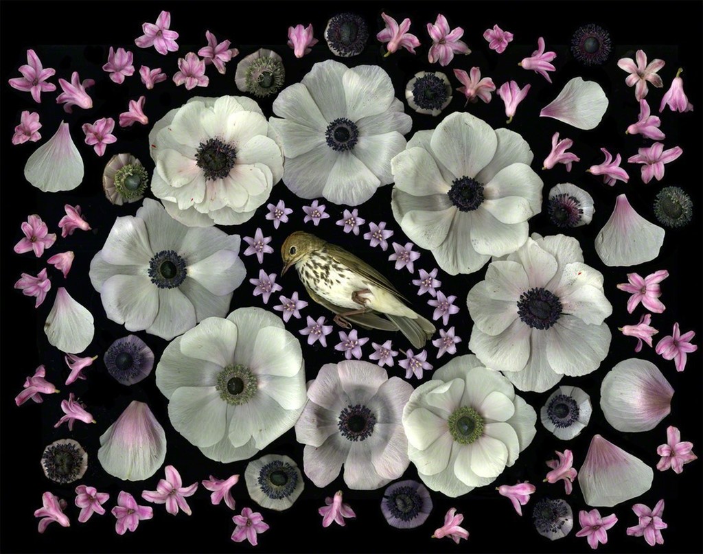 Www Artsy Net Artwork Zeng Fanzhi Ceng Fan Zhi Trauma D32dm0rphc51dk Cloudfront Net 4ejcwzxtrkvipzu0irxjrq Larger Jpg Trauma Trauma Is A Work Of Art Created By Zeng Fanzhi 曾梵志 In 07 Www Artsy Net Artwork Jim Shaw Untitled