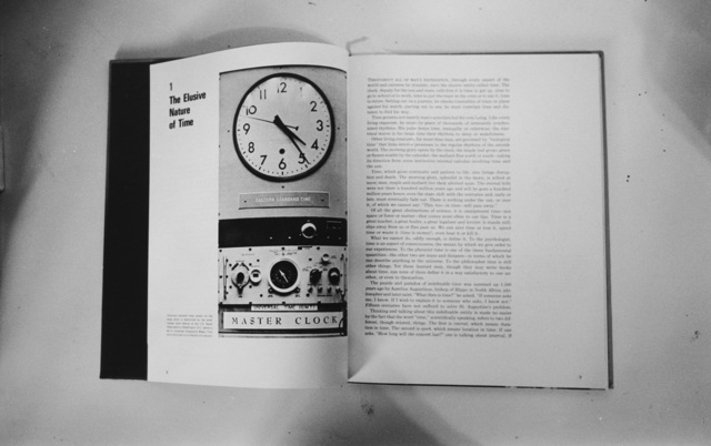 Will Rogan, ‘The Elusive Nature of Time’, 2010, Photography, Gelatin silver print, Altman Siegel