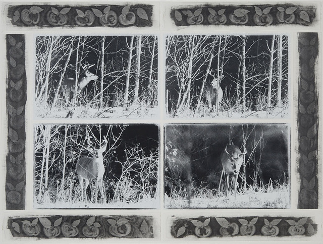 Carol Marino, ‘Apple Buck’, 1992, Print, Quadriptych: four gelatin toned silver prints mounted to a white paper support surrounded by 6 waterbased stencilled strips of apples mounted to decorate the borders, Waddington's