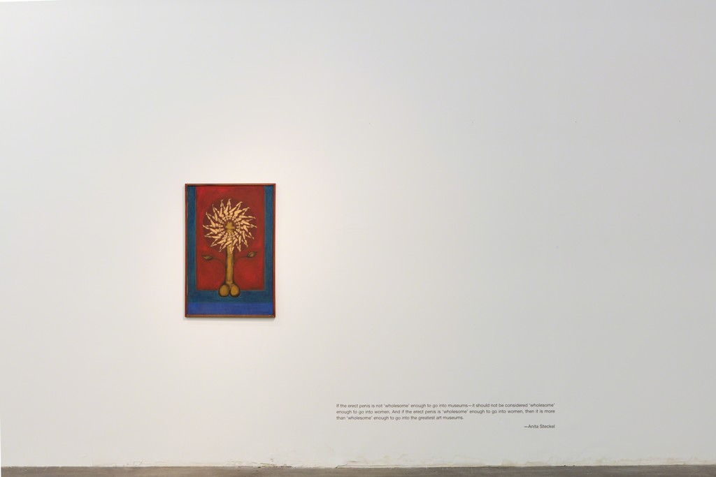 Black Sheep Feminism. Installation view, Dallas Contemporary, 2016. Photo: Kevin Todora Black Sheep Feminism. Installation view, Dallas Contemporary, 2016. Photo: Kevin Todora