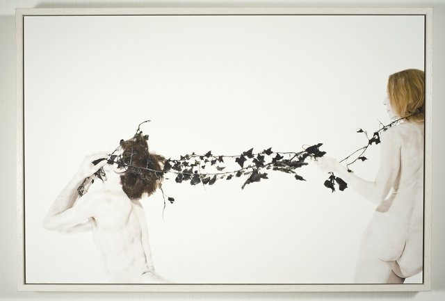 Alessandro Giampaoli, ‘Il velo di Maya (Maya's Veil); Ed. 1/7’, 2014, Photography, Pigment print on cotton paper, Zamagni Arte