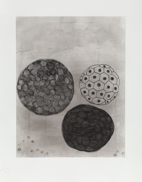 Terry Winters, ‘Untitled 5 from Album’, 1988, Print, Etching and Aquatint, RoGallery