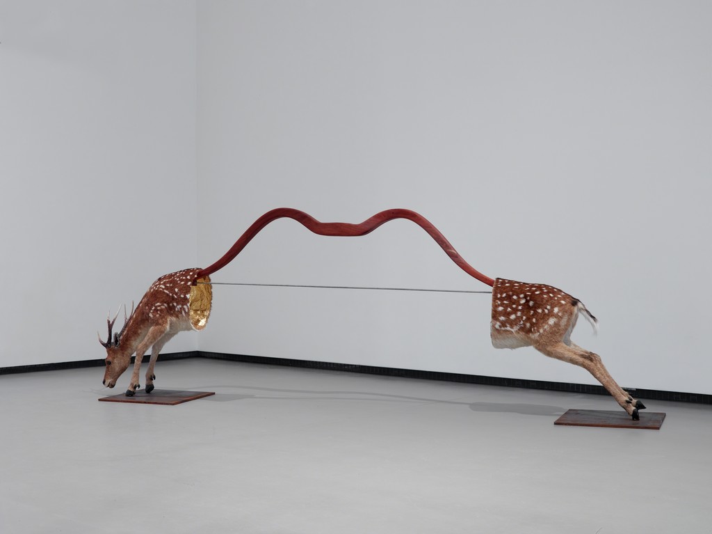 Installation view of "Installment 4: Chinese Artists at the Fondation Louis Vuitton" at Fondation Louis Vuitton, Paris (2016) Installation view of "Installment 4: Chinese Artists at the Fondation Louis Vuitton" at Fondation Louis Vuitton, Paris (2016)