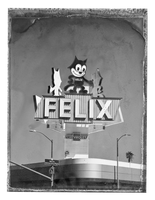 Christopher Thomas, ‘Felix, Los Angeles’, 2016, Hamiltons Gallery