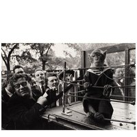 'Les Animaux Supérieurs', 1954
