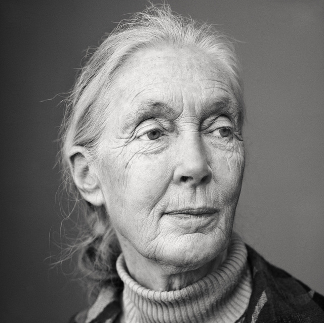 Martin Schoeller, ‘Jane Goodall’, 2010, Photography, Archival Pigment Print, CAMERA WORK