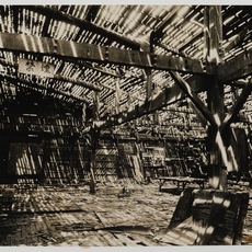 Yoho Tsuda 津田 洋甫