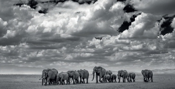 David Yarrow, ‘The Waterboys’, Isabella Garrucho Fine Art
