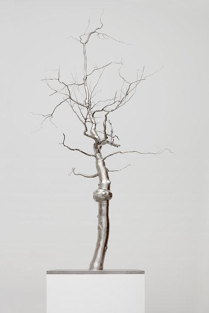 Roxy Paine, ‘Caption ’, 2017, Kasmin