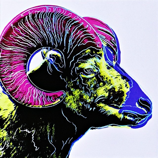Andy Warhol, ‘Bighorn Ram for Art Basel’, 1987, Alpha 137 Gallery