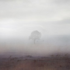 Ebru Ceylan