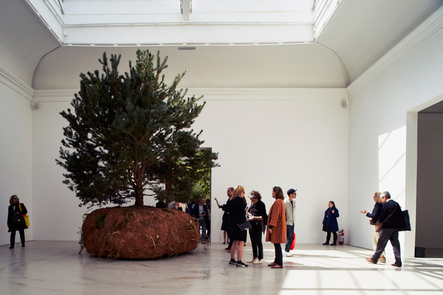 Céleste Boursier-Mougenot, ‘transHumUs / projet rêvolutions (Installation View)’, 2015, 56th Venice Biennale