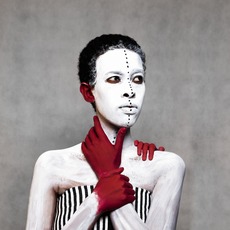 Aida Muluneh