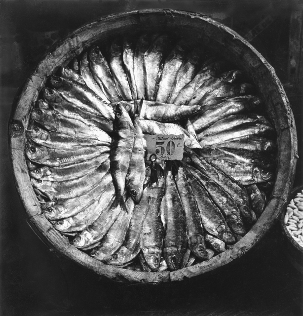 Fred Stein, ‘Fish Platter (Brittany)’, 1935, Rosenberg & Co.