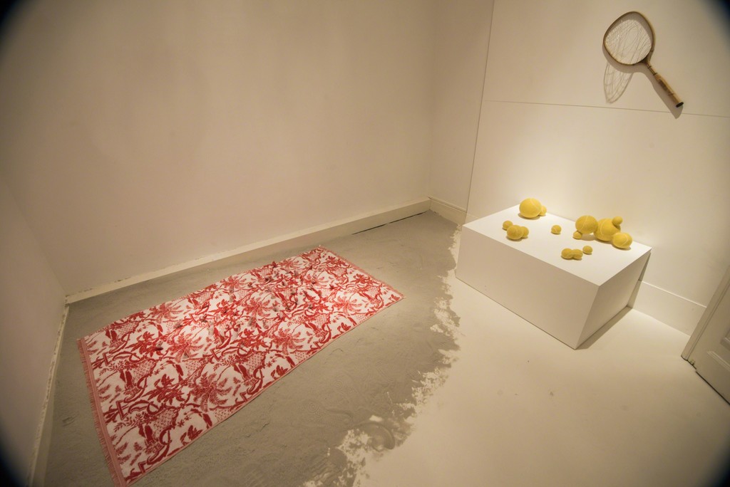 Prememories - exhibition view @Aeroplastics contemporary, Brussels Prememories - exhibition view @Aeroplastics contemporary, Brussels