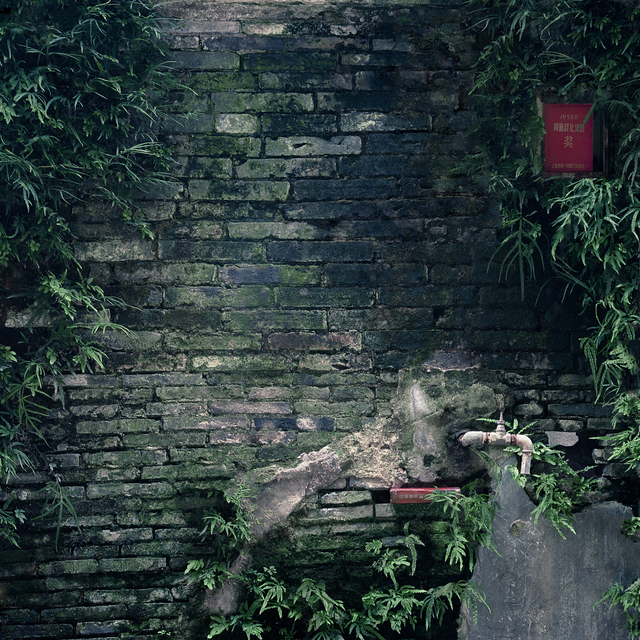 Dubravka Vidović, ‘Shikumen's walls series # 19’, 2014, ArtCN