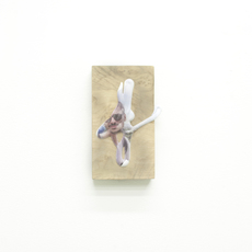 My-Lan Hoang Thuy