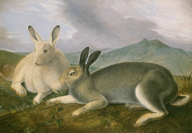 John James Audubon