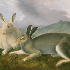 John James Audubon
