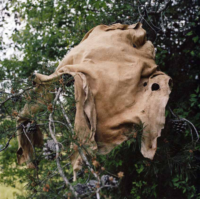 Taj Forer, ‘Untitled 17, Stone by Stone Series’, 2010, Galeria Senda