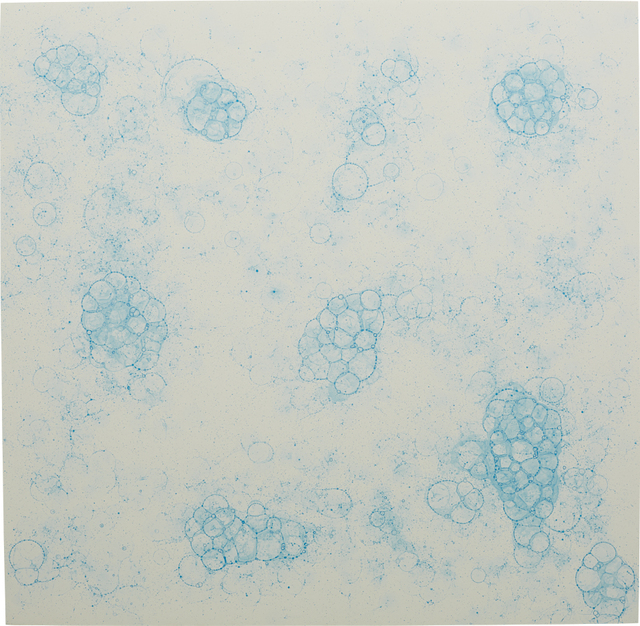 Tara Donovan, ‘Untitled (Bubble Drawing)’, 2004, Phillips