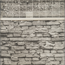 Aldo Tagliaferro