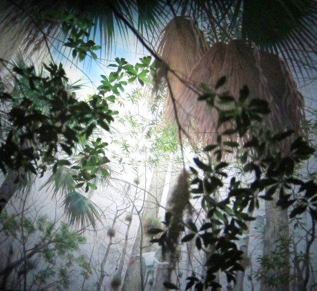 Virginia Inés vergara, ‘Glass Scape’, 2013, Tambaran