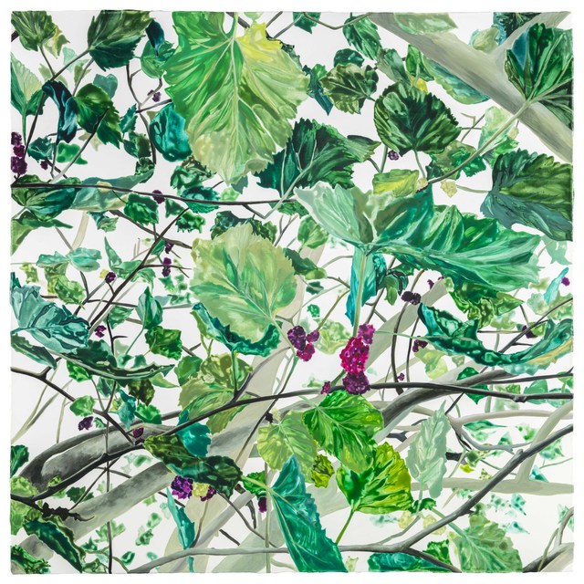 Lin-Yuan Zeng, ‘Mulberry’, 2017, Aki Gallery