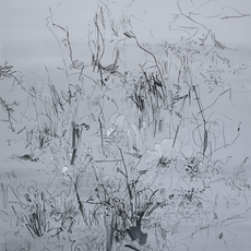 Cha Myung Hi
