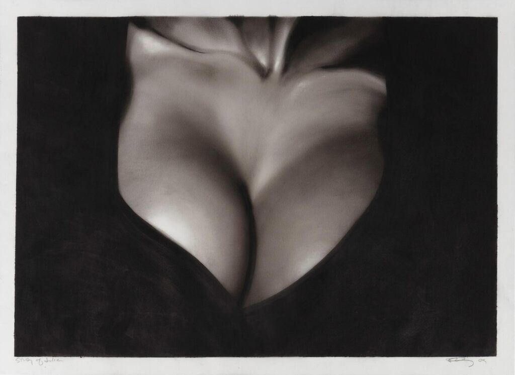 Robert Longo - Study of Julie